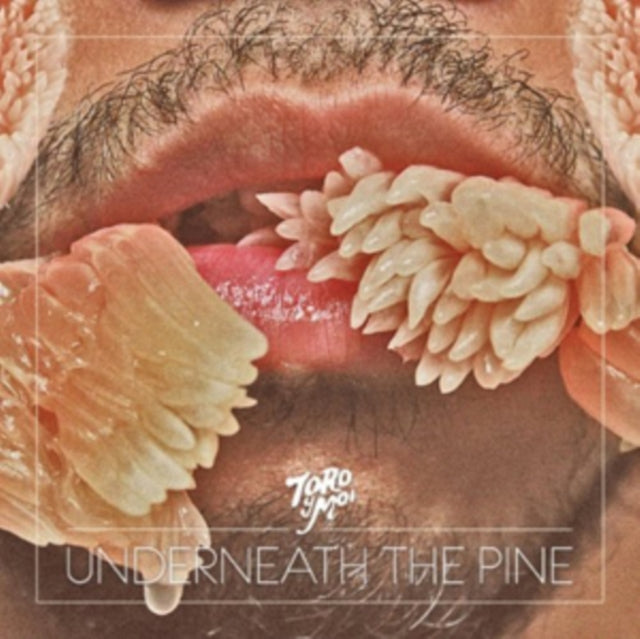 TORO Y MOI | UNDERNEATH THE PINE | VINYL RECORD (LP)