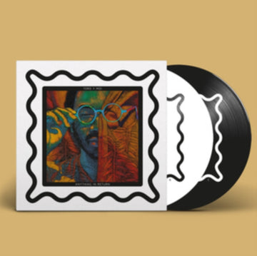 TORO Y MOI | ANYTHING IN RETURN (2LP) | VINYL RECORD (LP)