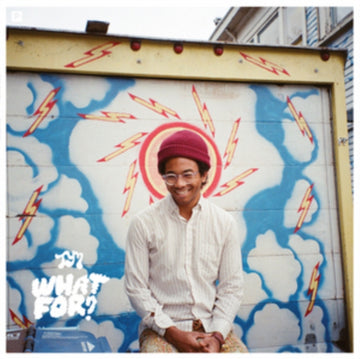 TORO Y MOI | WHAT FOR | VINYL RECORD (LP)