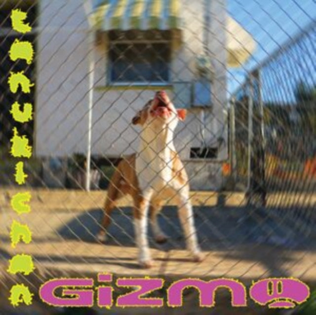TANUKICHAN | GIZMO | VINYL RECORD (LP)