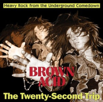 BROWN ACID - THE TWENTY-SECOND TRIP | VINYL RECORD (LP)