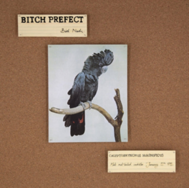 BITCH PREFECT | BIRD NERDS | VINYL RECORD (LP)