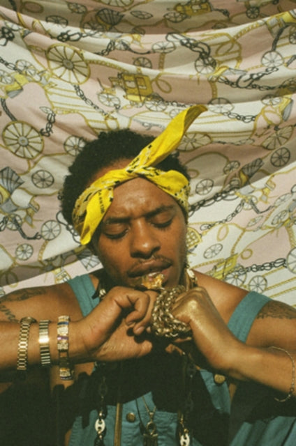 PINK SIIFU | ENSLEY (2LP) | VINYL RECORD (LP)