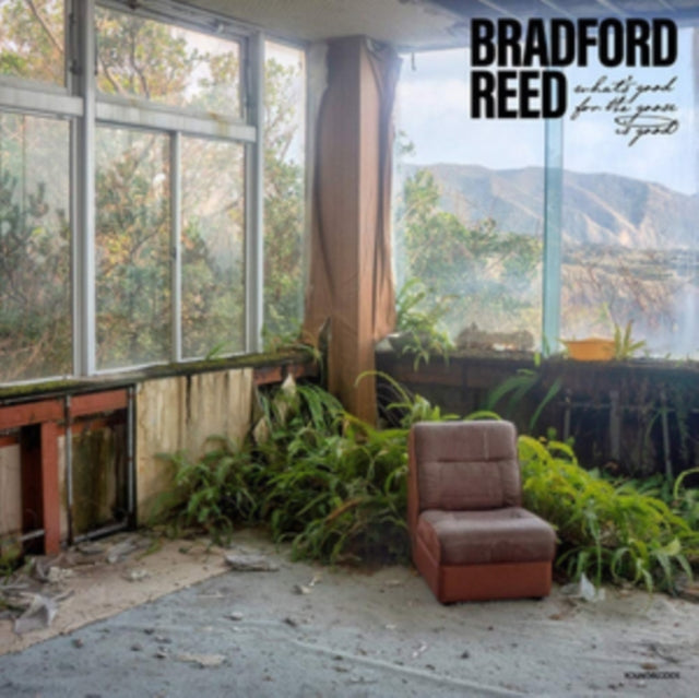 REED, BRADFORD | WHAT'S GOOD FOR THE GOOSE IS GOOD | VINYL RECORD (LP)