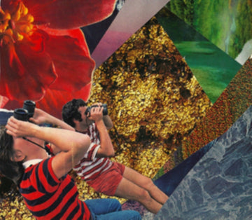 MNDSGN | NOMAPS | VINYL RECORD (LP)