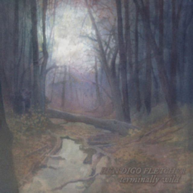 FLETCHER, BENDIGO | TERMINALLY WILD / SLEEPING PAD | VINYL RECORD (LP)