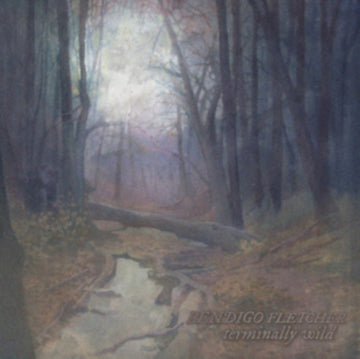 FLETCHER, BENDIGO | TERMINALLY WILD / SLEEPING PAD | VINYL RECORD (LP)