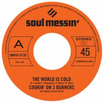 WORLD IS COLD B/W MS. FAT BOOTY | 7IN VINYL