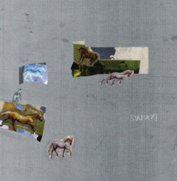SWAN | VINYL RECORD (LP)