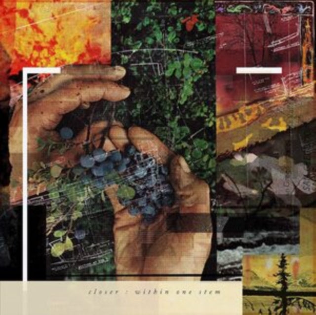 CLOSER | WITHIN ONE STEM | VINYL RECORD (LP)