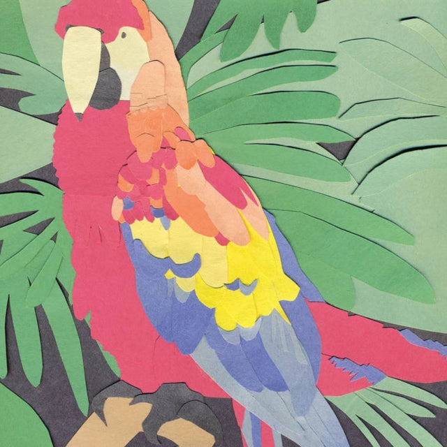 CADWALLADER, ALGERNON | PARROT FLIES | MUSIC CASSETTE