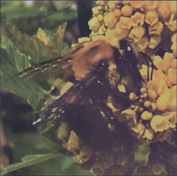 NATURAL PLEASURE | VINYL RECORD (LP)