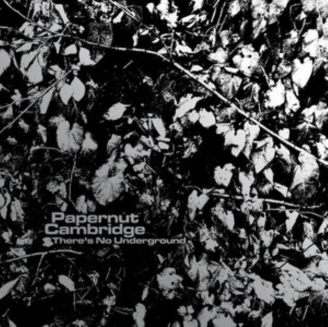 PAPERNUT CAMBRIDGE | THERE'S NO UNDERGROUND (3-7 INCH) | 7IN VINYL