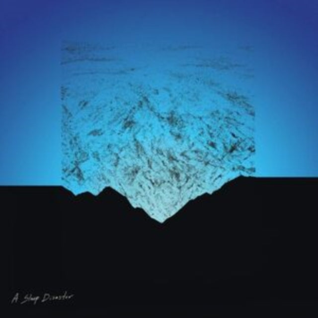 MENDEZ, MIGUEL | SLEEP DISASTER | VINYL RECORD (LP)