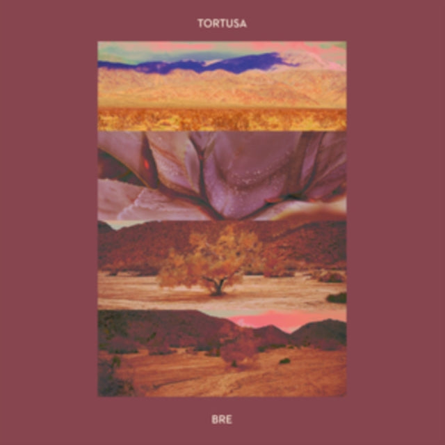 TORTUSA | BRE | VINYL RECORD (LP)