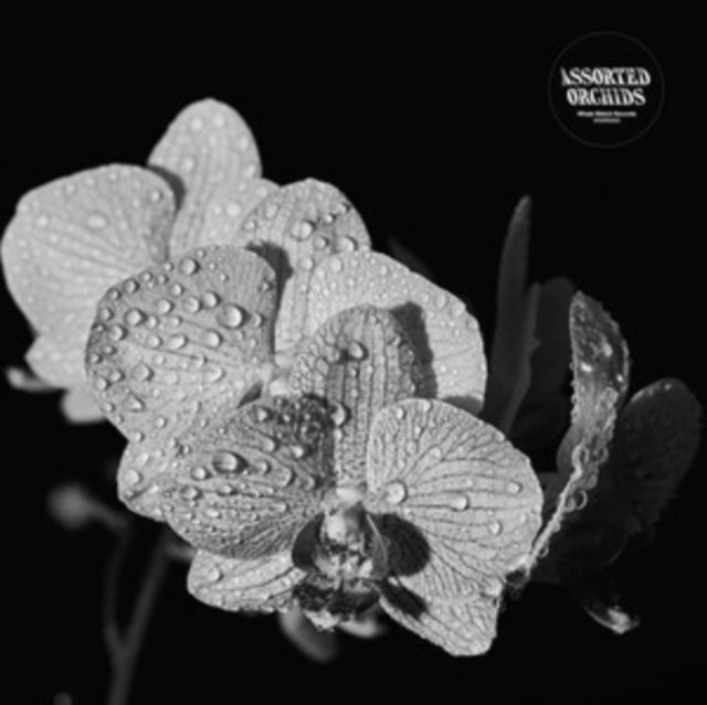 ASSORTED ORCHIDS | ASSORTED ORCHIDS (GATEFOLD/WHITE VINYL) | VINYL RECORD (LP)