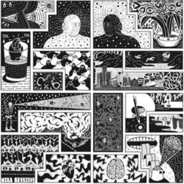 SESSIONS, WILL | ELECTROMAGNETIC REALITY | VINYL RECORD (LP)