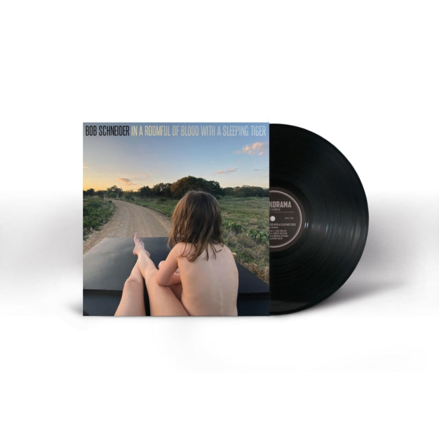 SCHNEIDER, BOB | IN A ROOMFUL OF BLOOD WITH A SLEEPING TIGER | VINYL RECORD (LP)