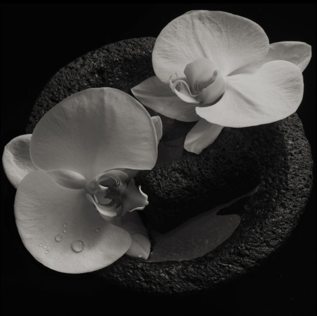 PATTON, MIKE; JEAN-CLAUDE VANNIER | CORPSE FLOWER | VINYL RECORD (LP)