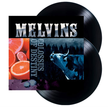 COLOSSUS OF DESTINY (2LP) | VINYL RECORD (LP)