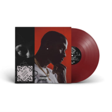 CHAOS IS MY LADDER | VINYL RECORD (LP)