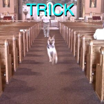 TRICK | VINYL RECORD (LP)