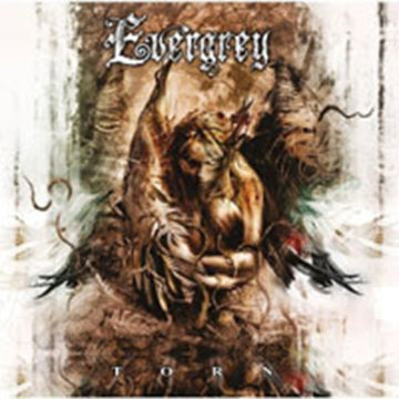 EVERGREY | TORN | CD