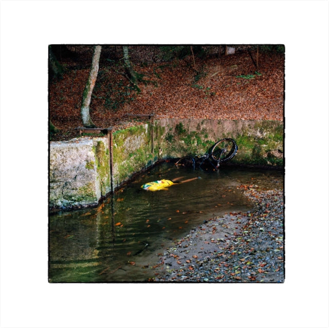 VIGROUX, FRANCK | TOTEM | VINYL RECORD (LP)