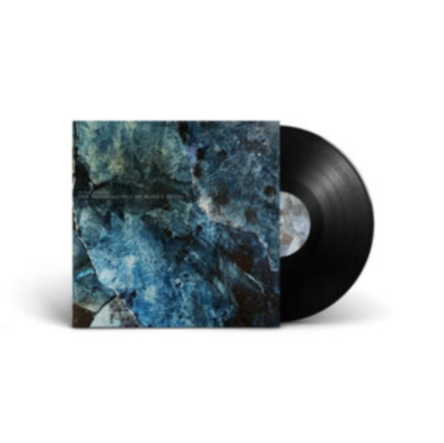 BJARGO, PETER | TRANSLUCENCY OF MIND'S DECAY | VINYL RECORD (LP)