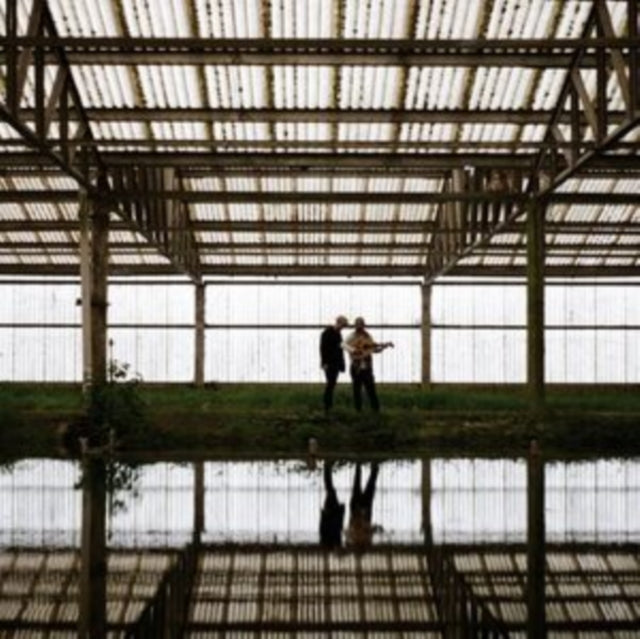 FRY, DEVIN JAMES & SARI ANDONI | RADICANS | VINYL RECORD (LP)