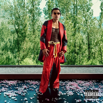 GOODBYE, STICKY RICE | VINYL RECORD (LP)