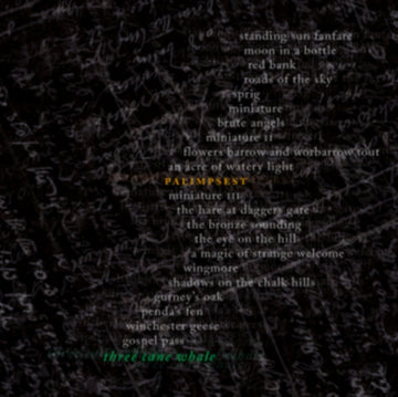 PALIMPSEST (180G VINYL) | VINYL RECORD (LP)