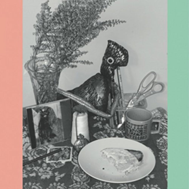 VINCENT OVER THE SINK | 22 COLOURED BULL-TERRIERS (2LP) | VINYL RECORD (LP)