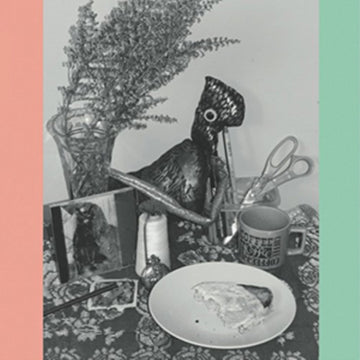 VINCENT OVER THE SINK | 22 COLOURED BULL-TERRIERS (2LP) | VINYL RECORD (LP)
