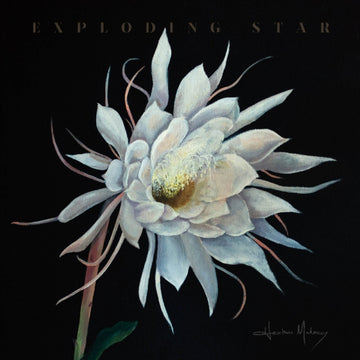 EXPLODING STAR | VINYL RECORD (LP)
