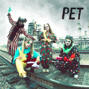 PET | VINYL RECORD (LP)