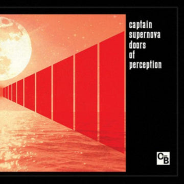 DOORS OF PERCEPTION | VINYL RECORD (LP)