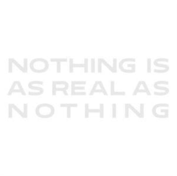 ZORN, JOHN | NOTHING IS AS REAL AS NOTHING | CD