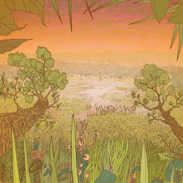 PINE BARONS | MIRAGE ON THE MEADOW | VINYL RECORD (LP)