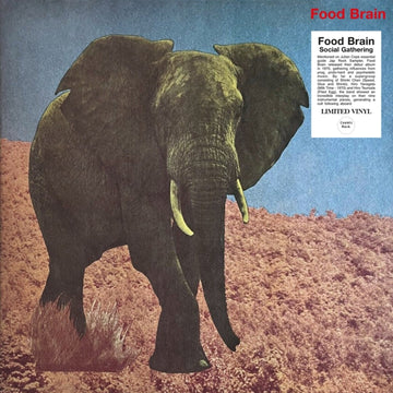 SOCIAL GATHERING | VINYL RECORD (LP)
