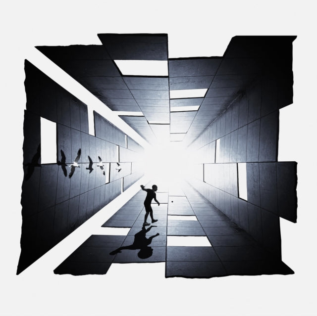 MARROON | IN | VINYL RECORD (LP)