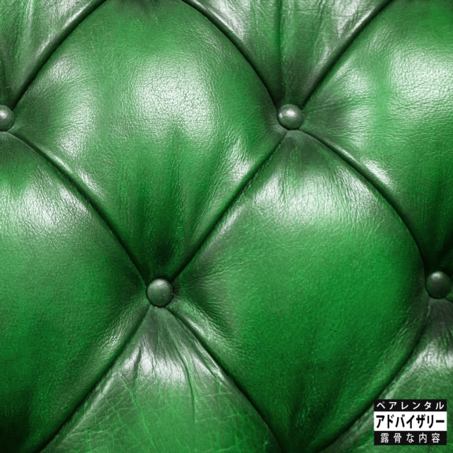 SONNYJIM X CAMOFLAUGE MONK | MONEY GREEN LEATHER SOFA | VINYL RECORD (LP)