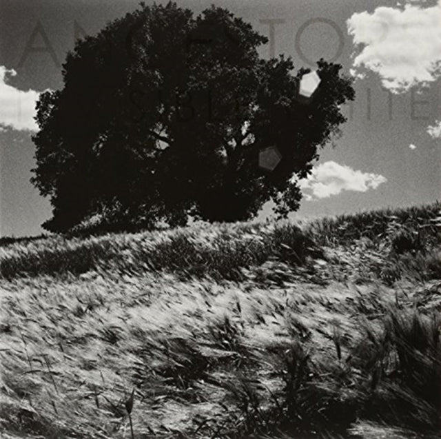 ANCESTORS | INVISIBLE WHITE | VINYL RECORD (LP)