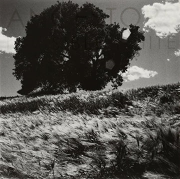 ANCESTORS | INVISIBLE WHITE | VINYL RECORD (LP)