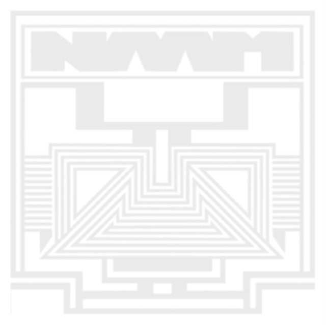NAAM | VOW | VINYL RECORD (LP)