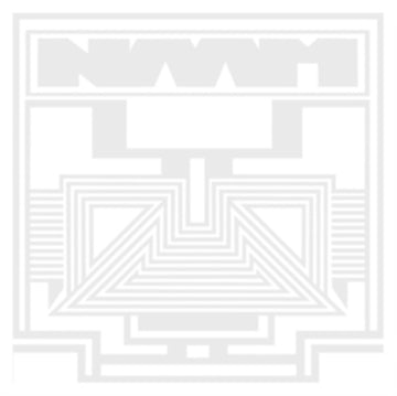 NAAM | VOW | VINYL RECORD (LP)