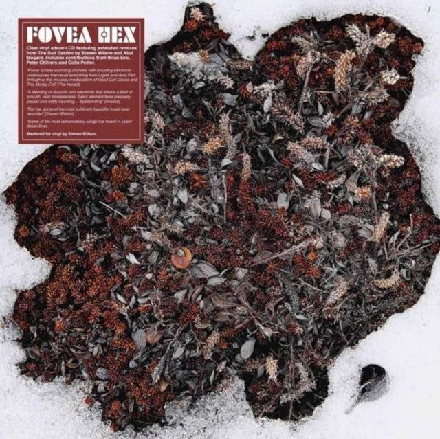 FOVEA HEX | SALT GARDEN (LP/CD/IMPORT) | VINYL RECORD (LP)