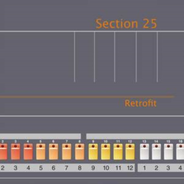 SECTION 25 | RETROFIT | VINYL RECORD (LP)