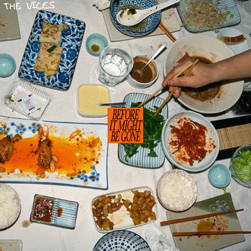 BEFORE IT MIGHT BE GONE (ECO MIX/ORANGE VINYL) | VINYL RECORD (LP)