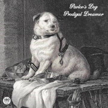 PRODIGAL DREAMER | VINYL RECORD (LP)